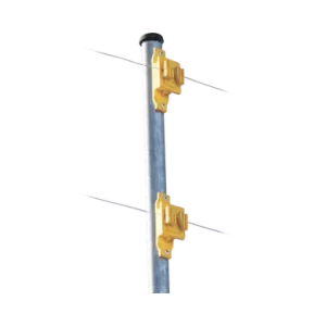SFPASOY